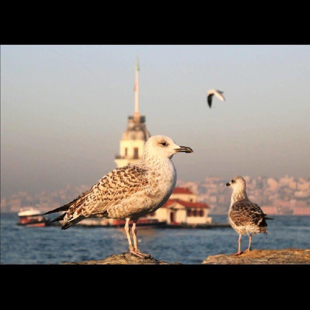 Luxury Grand Bazaar Suites Isztambul Kültér fotó